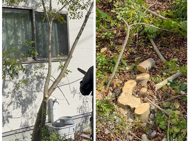 必ず私が伺います！　お庭・空き家・空き地対応可能◎　お見積もりだけでも歓迎！サービスの画像