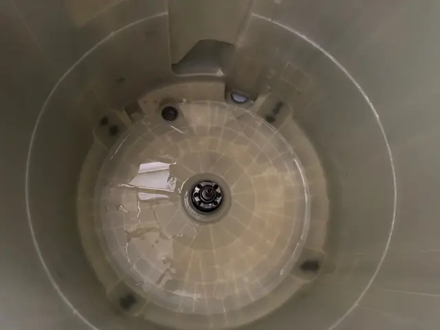 ◤洗濯機分解洗浄◢カビ汚れ臭いを除去★損害保険加入済★非喫煙者★サービスの画像