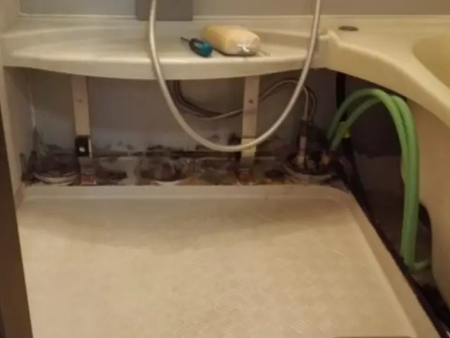 浴室全体の除菌洗浄プラス追炊き配管内の除菌高圧洗浄セットサービスの画像