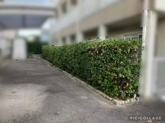 暮らマ100件達成！ご愛顧，誠に有難う御座います。すっきり綺麗なお庭を目指しますサービスの画像