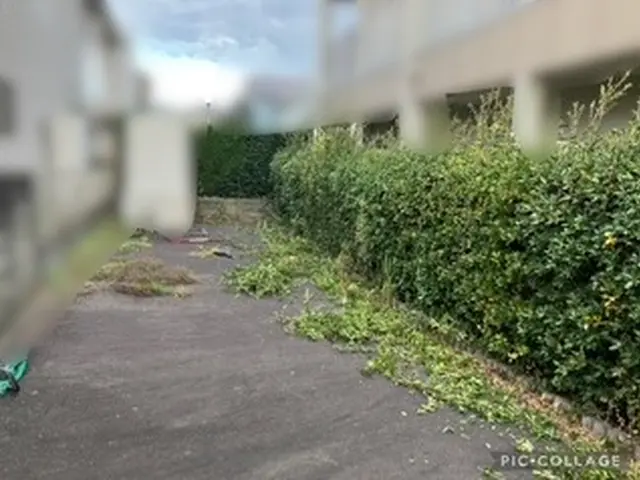 暮らマ100件達成！ご愛顧，誠に有難う御座います。すっきり綺麗なお庭を目指しますサービスの画像