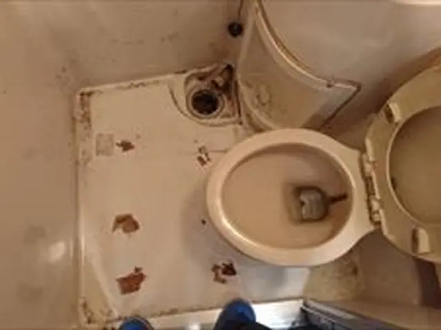 トイレクリーニング☆サービスの画像