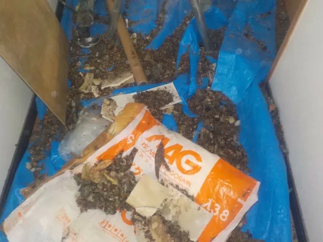 ◎年中無休◎大手業務経験豊富◎営業時間外も対応可能◎アフターフォローも万全サービスの画像