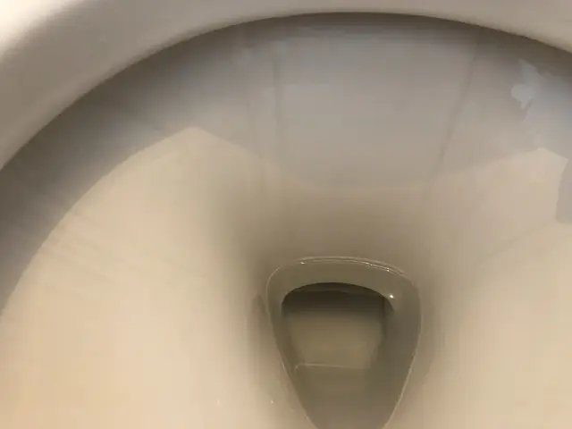 トイレクリーニングはお任せください!サービスの画像