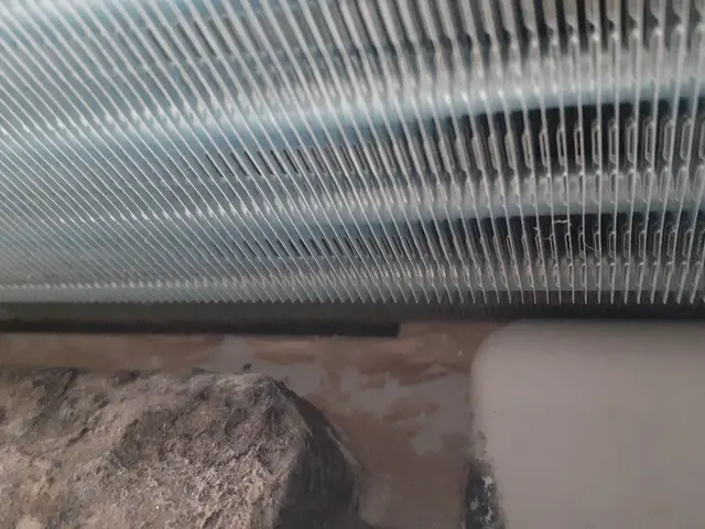 ペットや赤ちゃんにも安心！天然洗剤かメーカー使用の強力洗剤で！複数台がお得ですサービスの画像