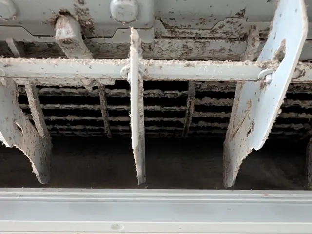 ペットや赤ちゃんにも安心！天然洗剤かメーカー使用の強力洗剤で！複数台がお得ですサービスの画像