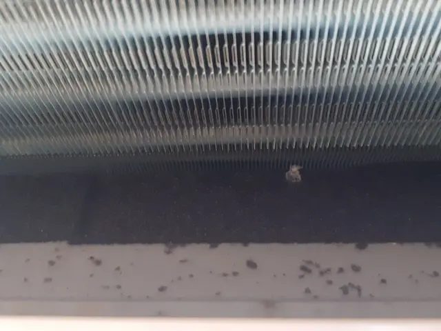 ペットや赤ちゃんにも安心！天然洗剤かメーカー使用の強力洗剤で！複数台がお得ですサービスの画像