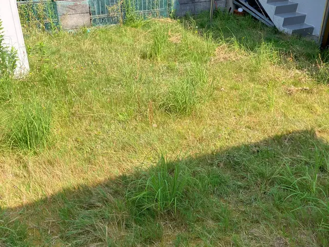 職人っぽくないフランクな対応が売りです！様々なおうちのお困りごとご相談ください！サービスの画像