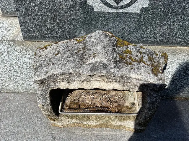 お墓参り代行　お墓清掃代行サービスの画像