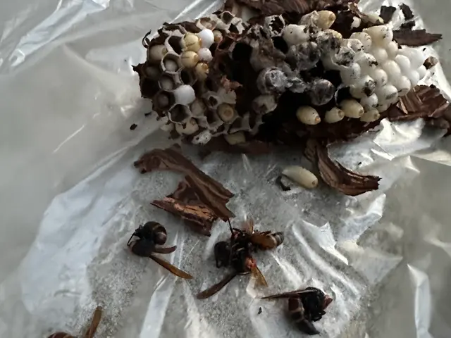 プロの技術でご満足いただけるように心を込めて作業いたしますサービスの画像