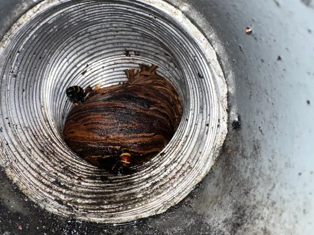 プロの技術でご満足いただけるように心を込めて作業いたしますサービスの画像