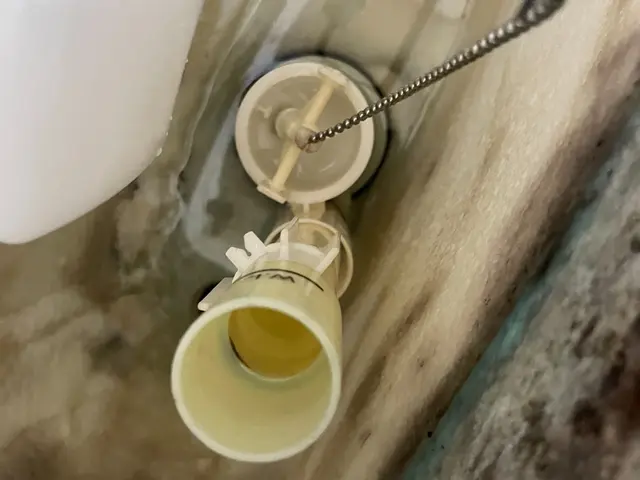 【当日緊急対応OK】くらしのマーケットアワード2024入賞店◎事前見積もりで安心サービスの画像