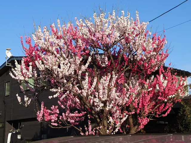 【業歴10年以上の実績】予約から作業まで完全自社対応◎アフターフォロー万全サービスの画像