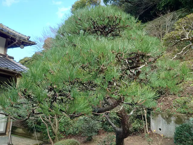 【業歴10年以上の実績】予約から作業まで完全自社対応◎アフターフォロー万全サービスの画像