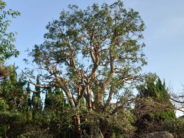 【業歴10年以上の実績】予約から作業まで完全自社対応◎アフターフォロー万全サービスの画像