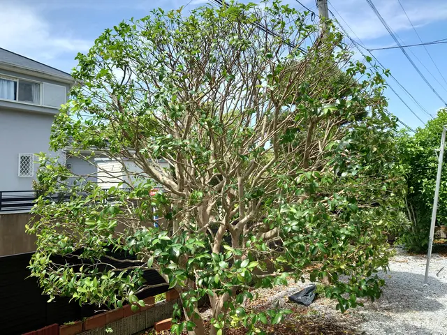 【業歴10年以上の実績】予約から作業まで完全自社対応◎アフターフォロー万全サービスの画像