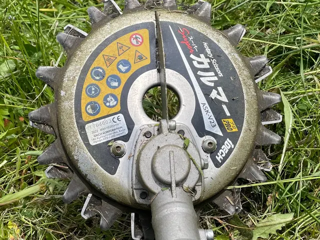 実績作りの為、格安募集中【新規出店祝】石飛び防止草刈機使用で住宅周りも安心！サービスの画像