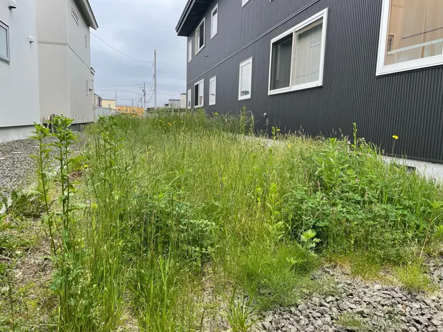 実績作りの為、格安募集中【新規出店祝】石飛び防止草刈機使用で住宅周りも安心！サービスの画像