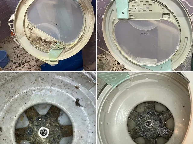 日本初！環境に優しいハウスクリーニング！もちろん身体にも！きれいごとできれいに。サービスの画像