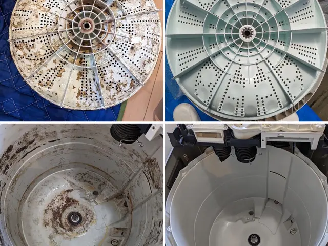 日本初！環境に優しいハウスクリーニング！もちろん身体にも！きれいごとできれいに。サービスの画像