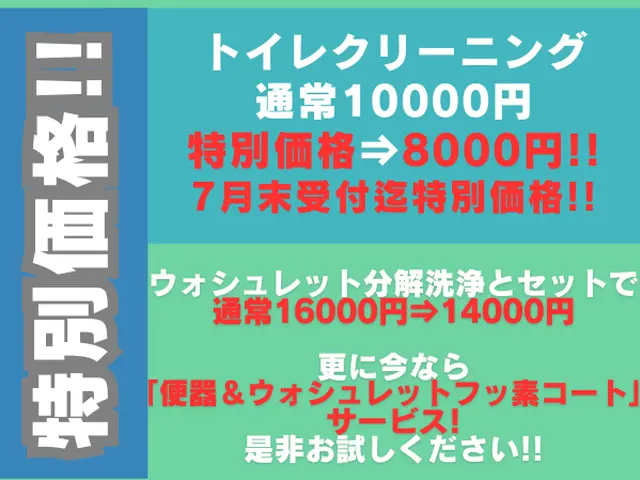 【自然由来の洗剤】職人歴7年◉出店記念価格!!10000円⇒8000円♫損害保険サービスの画像