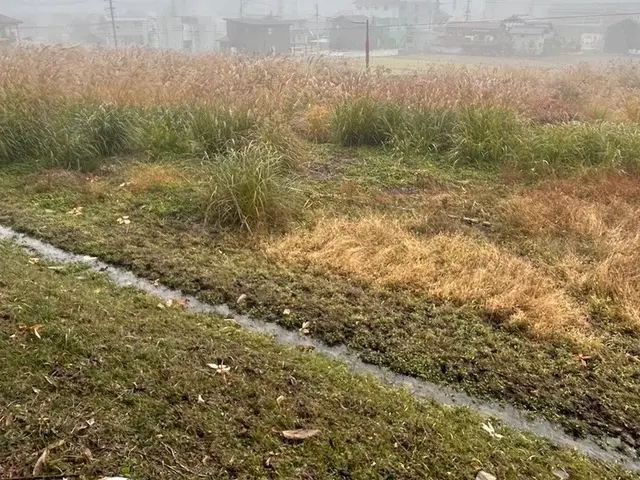 ★草刈り職人★飛び石対策も万全！住宅から店舗まで対応可能サービスの画像