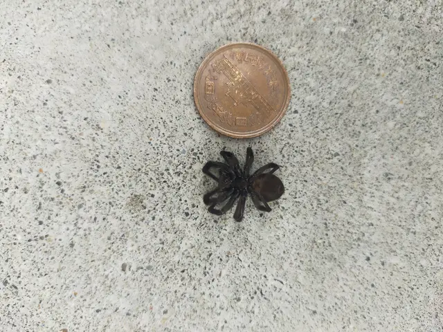 【防除資格保有者で安心】損害保険加入済◉あなたの心配事は㈱住環にお任せください。サービスの画像