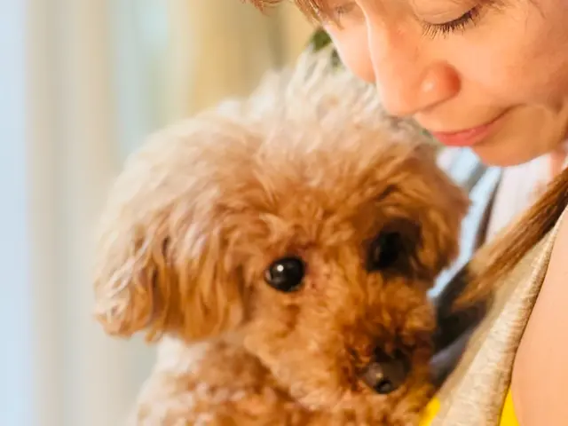 飼い主様、わんちゃんのニーズに合わせて、お世話の時間を自由に調整できます！サービスの画像