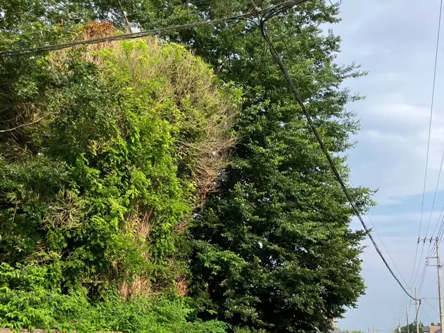 ◆◇11月新規出店◇◆地域密着店！【業歴12年】☆丁寧な仕事と親身な対応が自慢☆サービスの画像