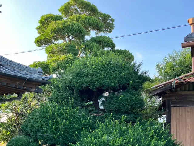 ◆◇11月新規出店◇◆地域密着店！【業歴12年】☆丁寧な仕事と親身な対応が自慢☆サービスの画像