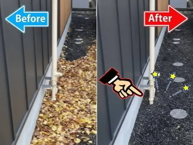 庭・駐車場の落ち葉対策なら【まちの便利屋さん】本気の落ち葉清掃◉安心仕上げサービスの画像