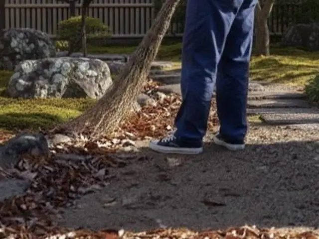 庭・駐車場の落ち葉対策なら【まちの便利屋さん】本気の落ち葉清掃◉安心仕上げサービスの画像