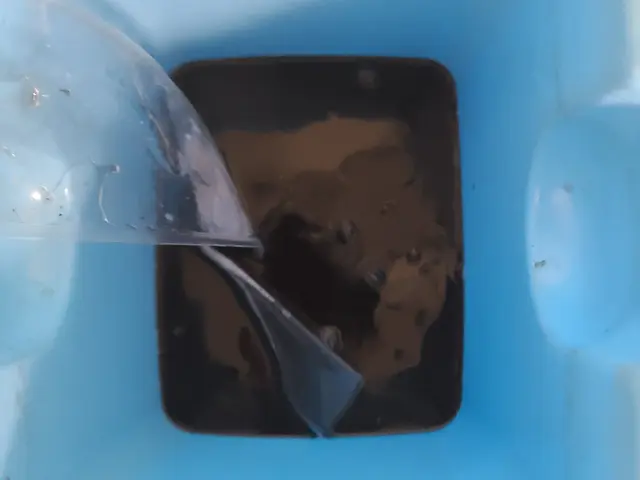 ハウスクリーニング士が在籍◆損害保険加入済で安心◆年中無休で営業中サービスの画像