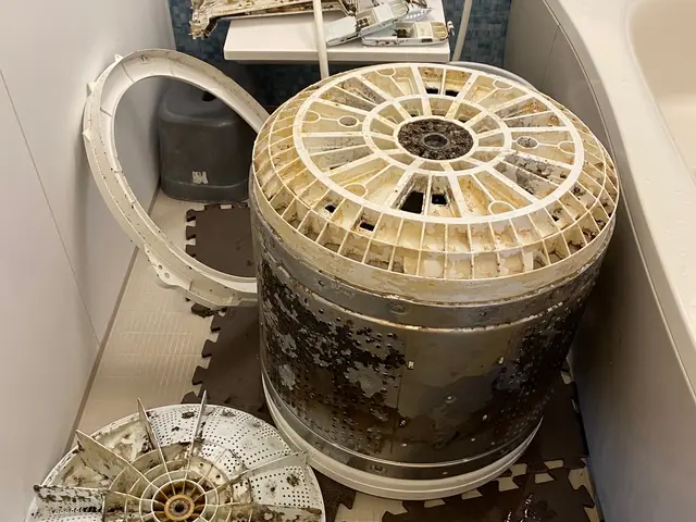 今がお得です☆カビと臭いを除去お得なセットも有ります！サービスの画像