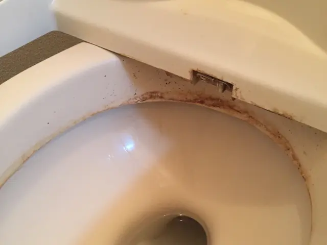 トイレクリーニングサービスの画像