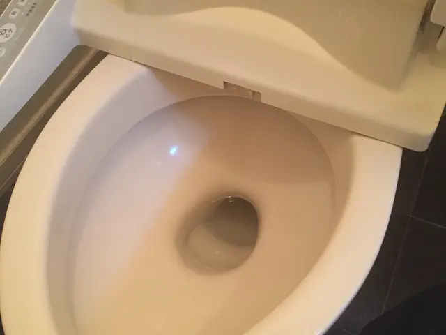 トイレクリーニングサービスの画像