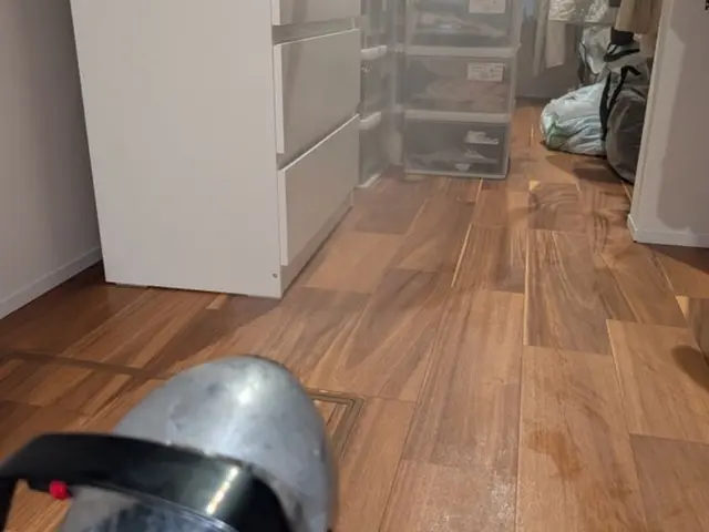 必ず完全駆除します！1年保証プランあります！見積もり後追加費用なしです！サービスの画像