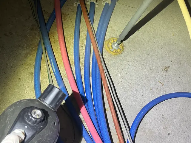 必ず完全駆除します！1年保証プランあります！見積もり後追加費用なしです！サービスの画像