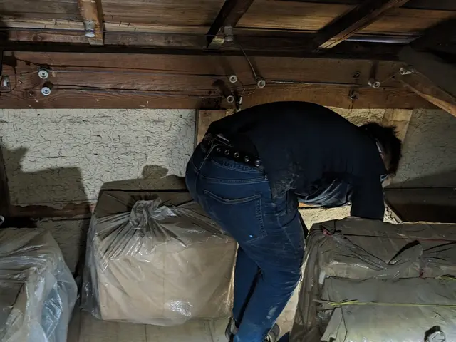 完全駆除、1年保証プランあります。見積もり後追加費用なしです。サービスの画像