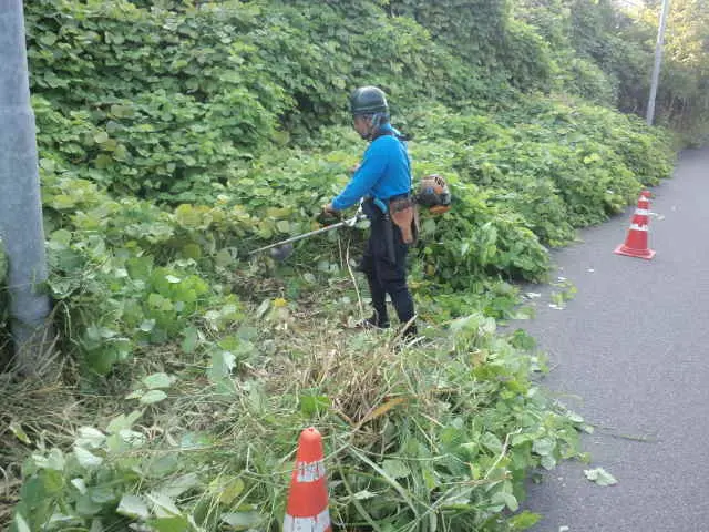 【年中無休】皆さまに愛され30年サービスの画像