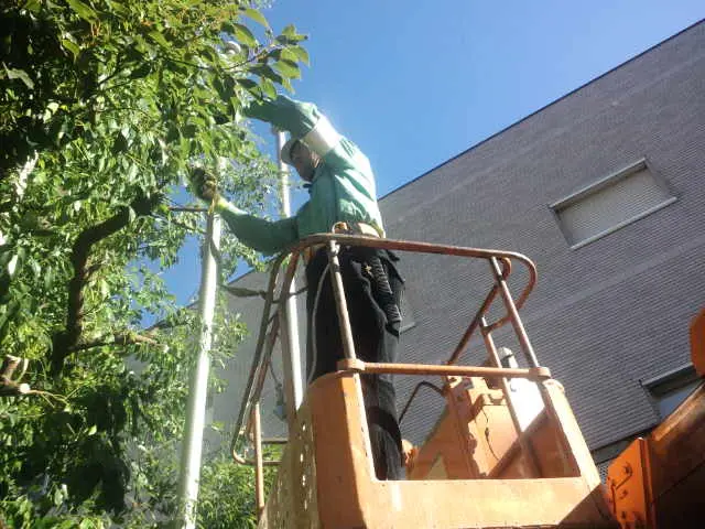 【年中無休】皆さまに愛され30年サービスの画像