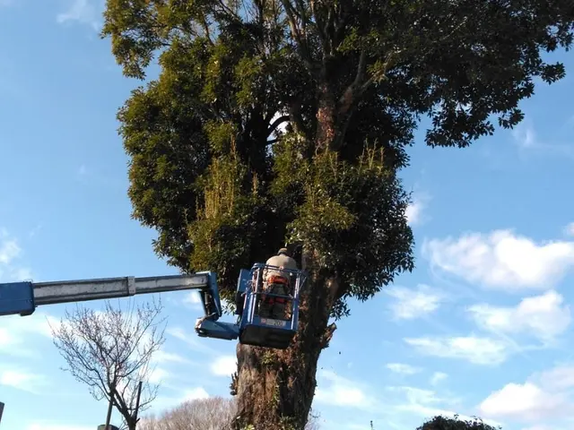 すべて自社対応！営業時間外もご相談ください。サービスの画像