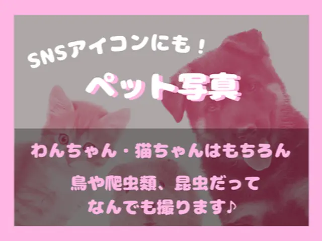【SNSフォロワー1.1万人】2-3枚は15分で納品◉レタッチ無料で対応します♬