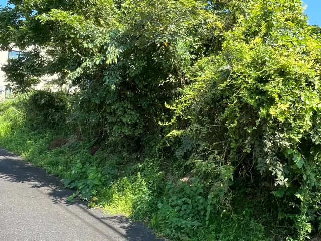 【伐採・抜根、1本から】予約から施工まで100％自社対応【女性スタッフ同行可】サービスの画像