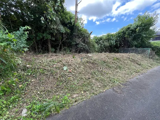 【伐採・抜根、1本から】予約から施工まで100％自社対応【女性スタッフ同行可】サービスの画像