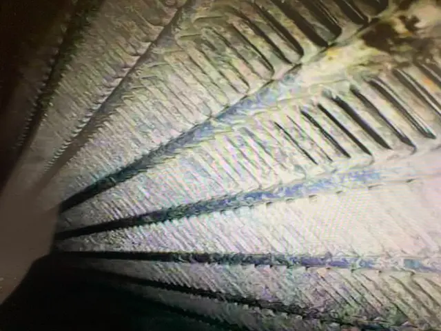 プロの技術でご満足いただけるように心を込めて作業いたしますサービスの画像