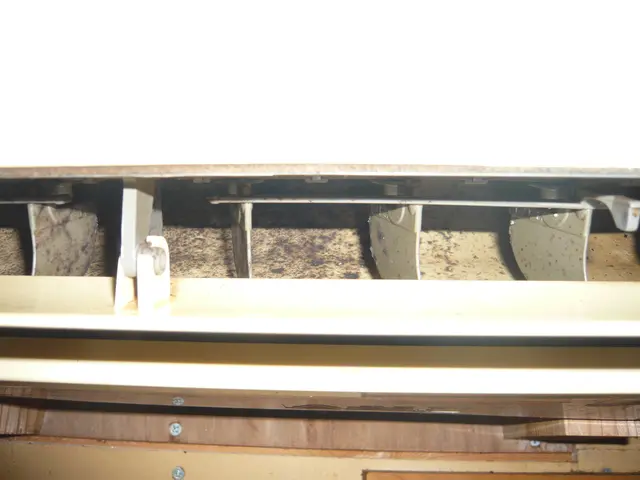 天然植物洗剤「天使の松」使用！フィトンチッドで消臭！サービスの画像