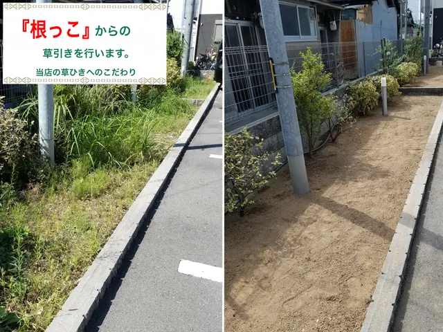 『必ず美しく剪定させて頂きます。』サービスの画像
