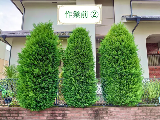 『必ず美しく剪定させて頂きます。』サービスの画像