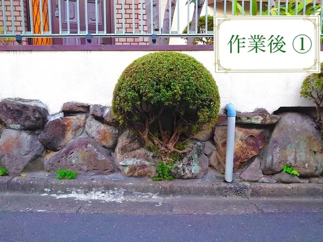 『必ず美しく剪定させて頂きます。』サービスの画像